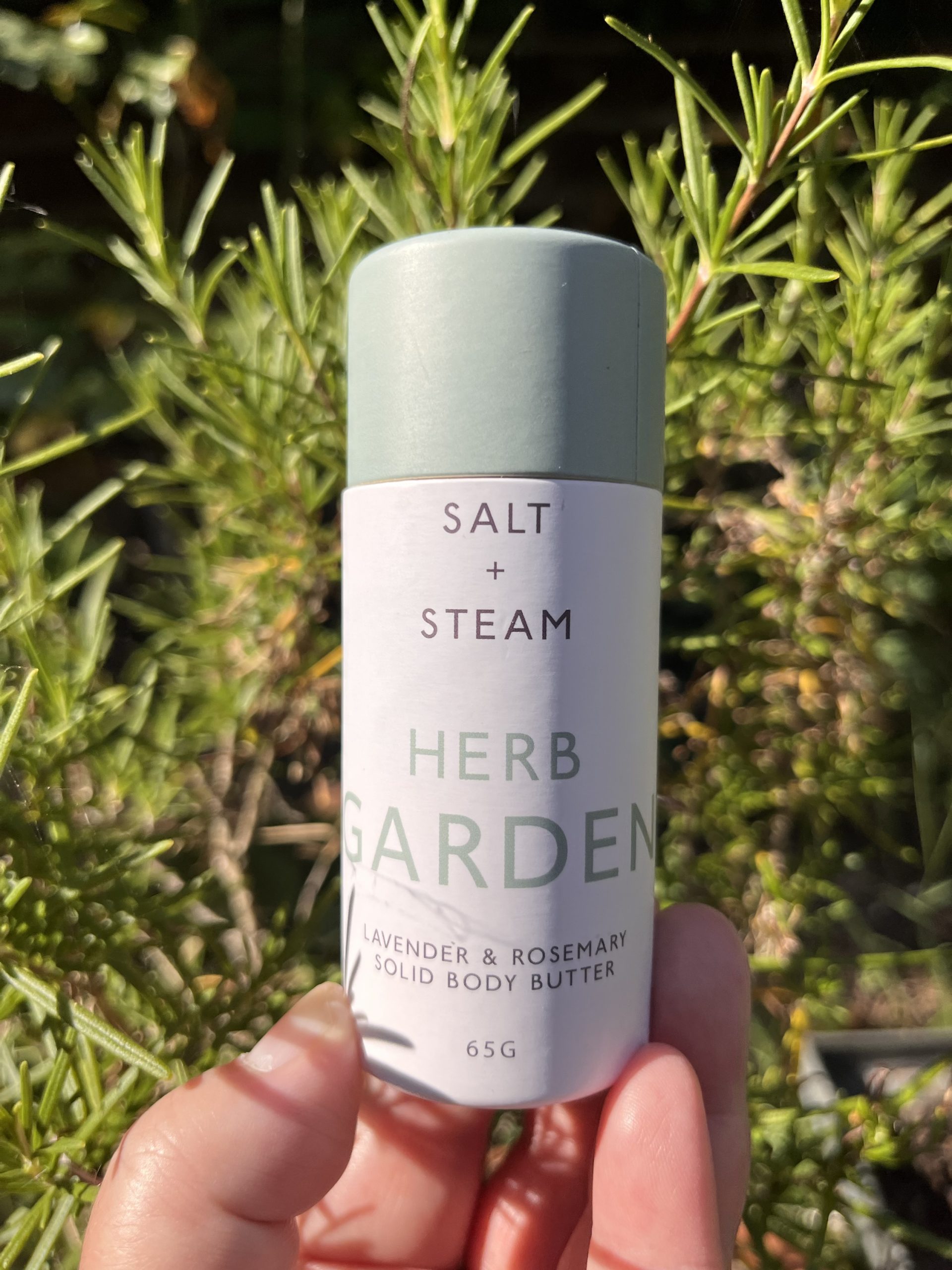 A white cardboard tube with a pastel green lid held up against a rosemary plant in the background.